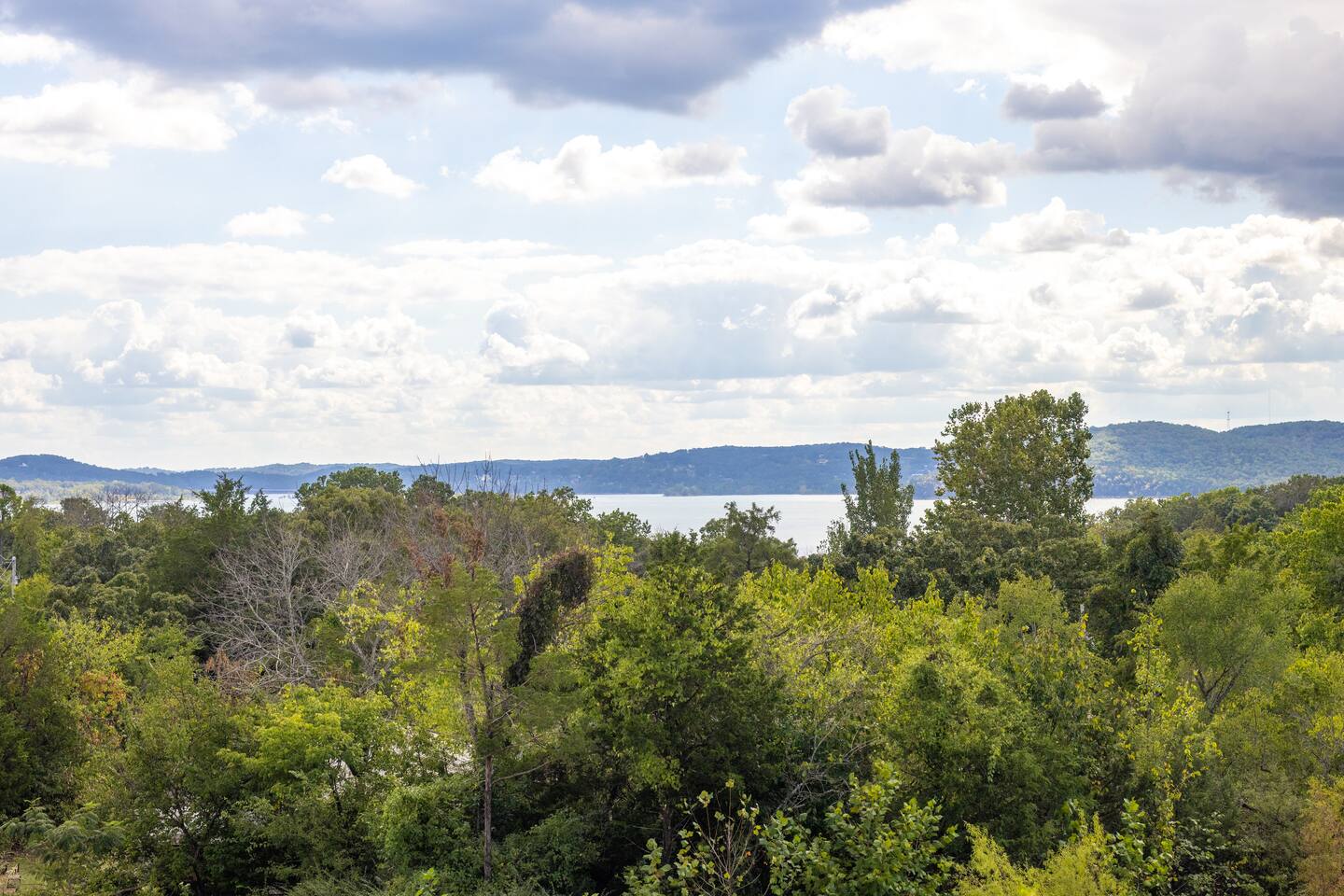 42-Branson Gray House-61